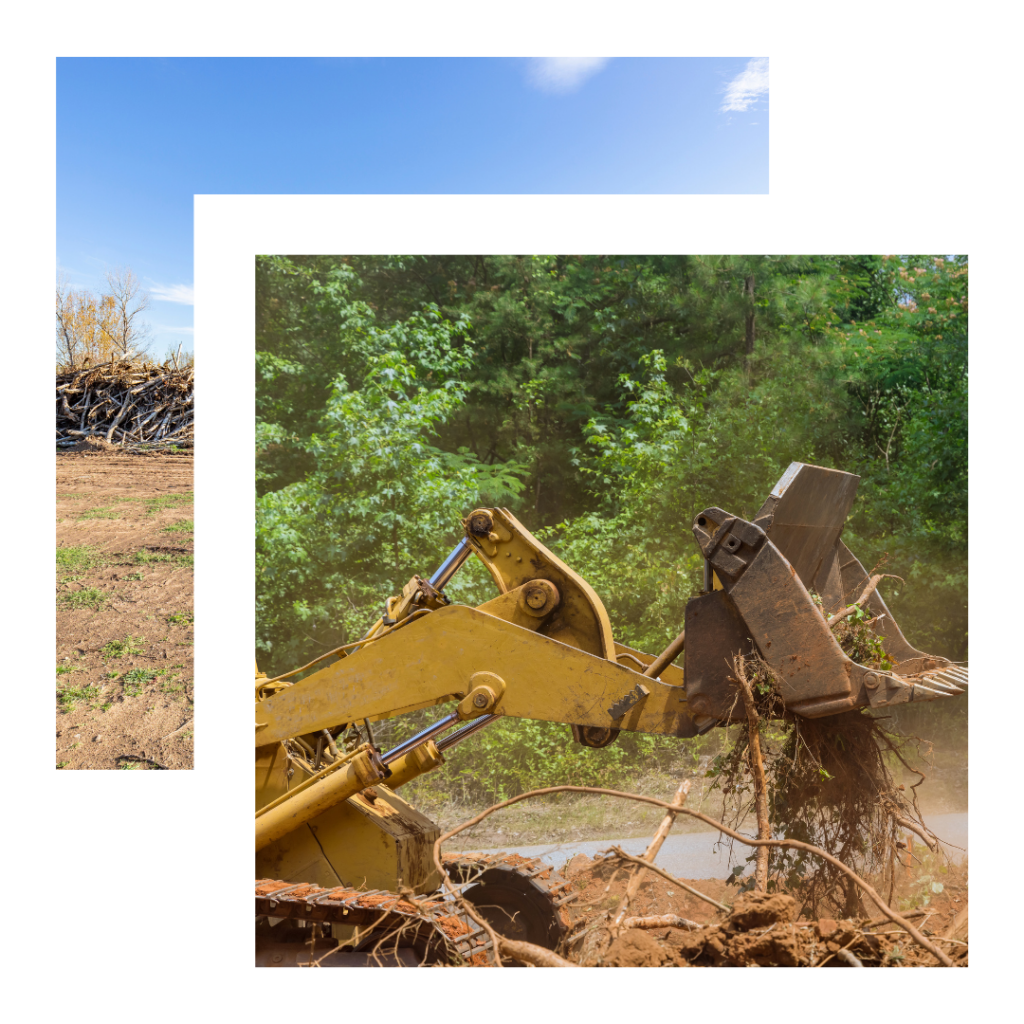 sanco services land clearing near me land clearing in the woodlands land clearing conroe land clearing tomball land clearing north houston