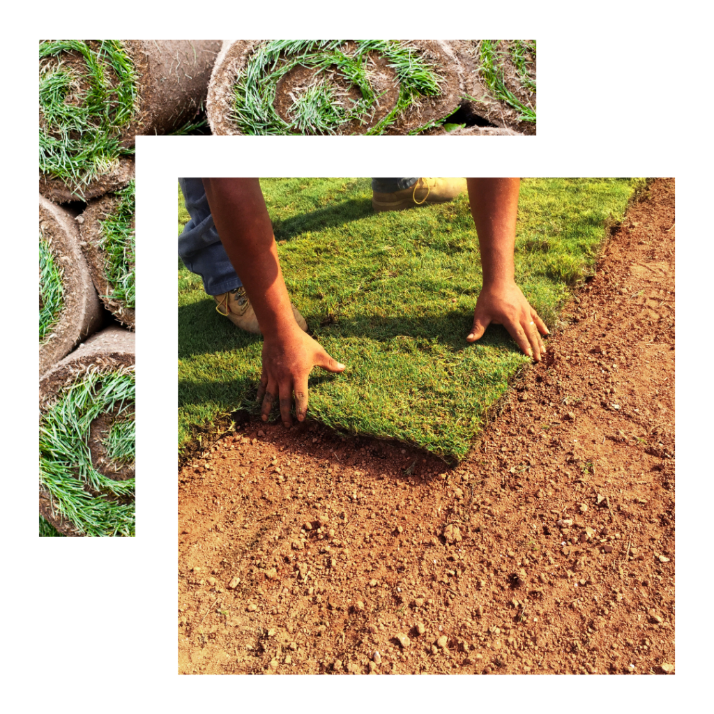 Sod installation near me, sod removal near me houston. Sanco services and contractors.