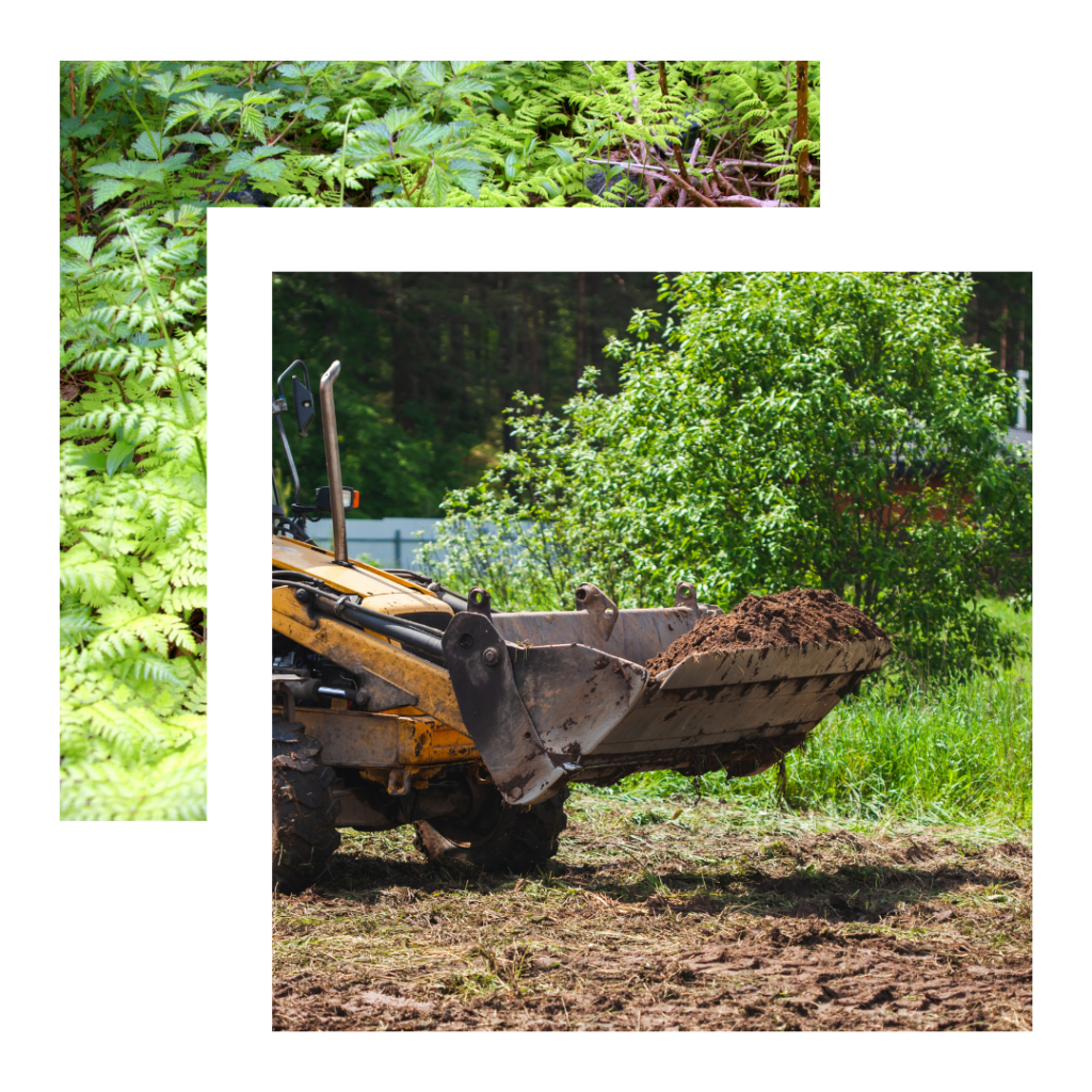 under brush clearing services in houston, Katy and Montgomery tx